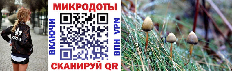 Галлюциногенные грибы GOLDEN TEACHER  где найти   Лесозаводск 