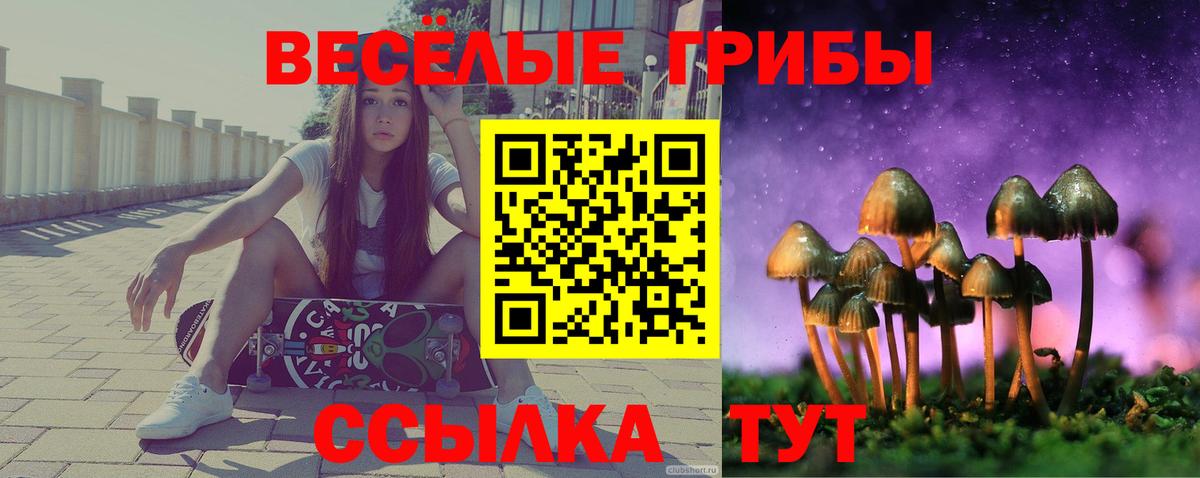 Псилоцибиновые грибы прущие грибы  Псилоцибиновые грибы Cubensis  Лесозаводск  Вход с VPN 